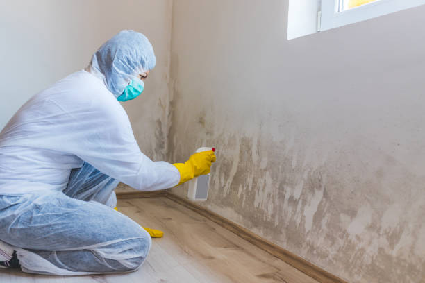 Licensed Mold Testing service in Mahwah, NJ - WQB Mold Removal