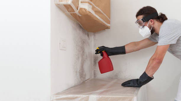 Professional Mold Testing technician working in Mahwah, NJ