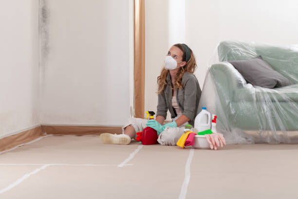 Reliable Mold Testing contractor in Mahwah, NJ by WQB Mold Removal
